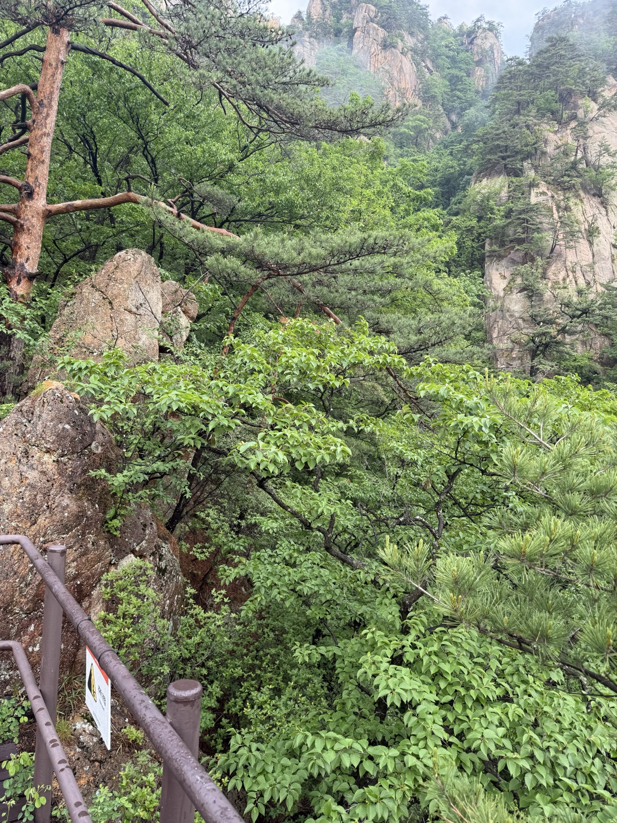 설악산 암봉과 안개